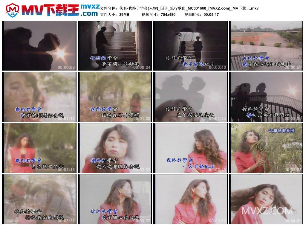 佚名-我终于学会(人物)_国语_流行歌曲_MC301668